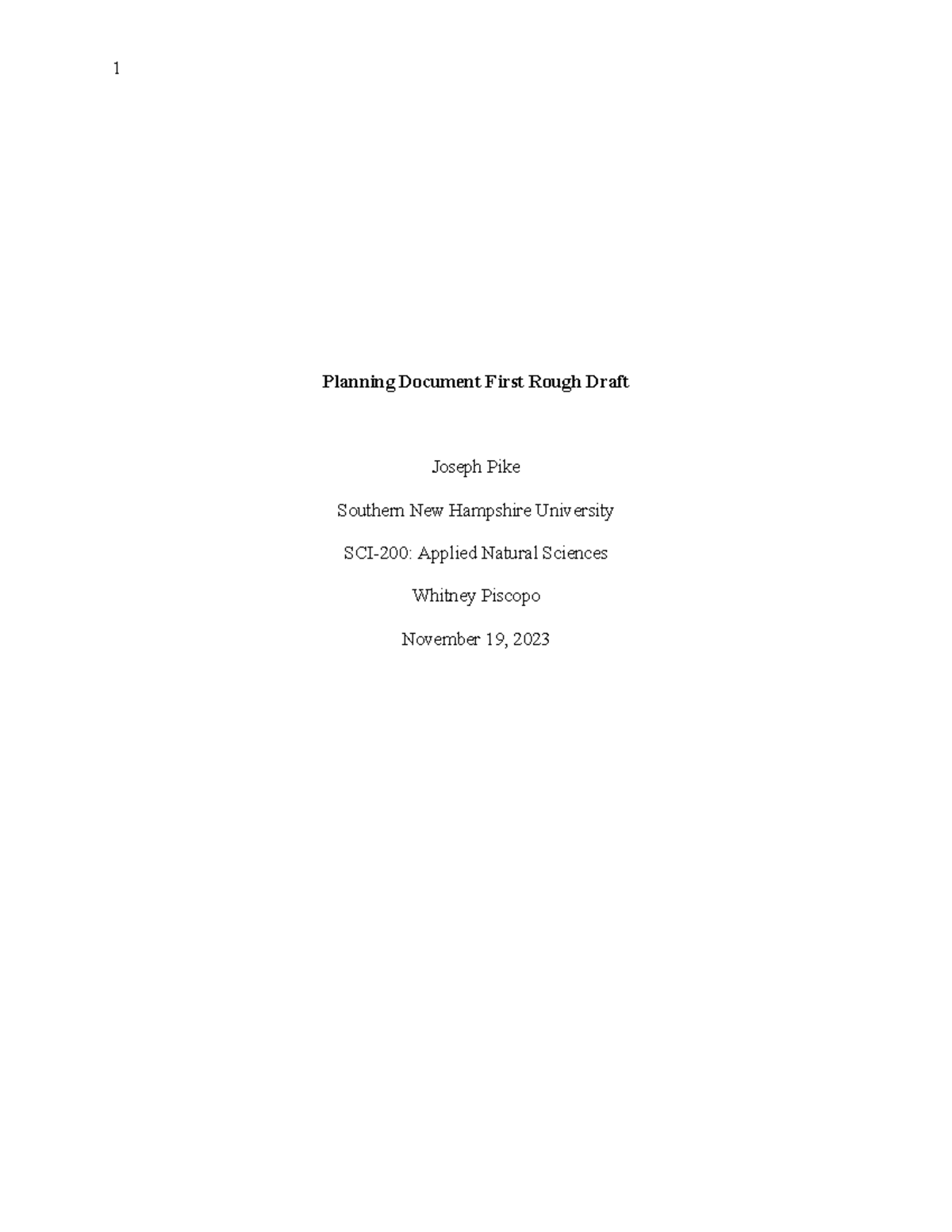 Planning Doc First Draft - Planning Document First Rough Draft Joseph ...
