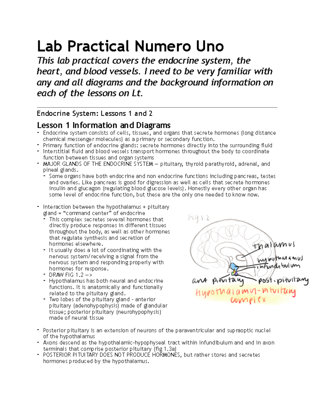 Lab exam 1 study guide - McNabney - Lab Practical Numero Uno This lab ...