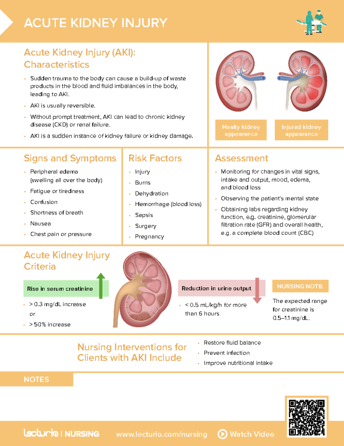 Nursing CS Acute Kidney Injury 04 Lecturio nursing Watch Video NOTES 