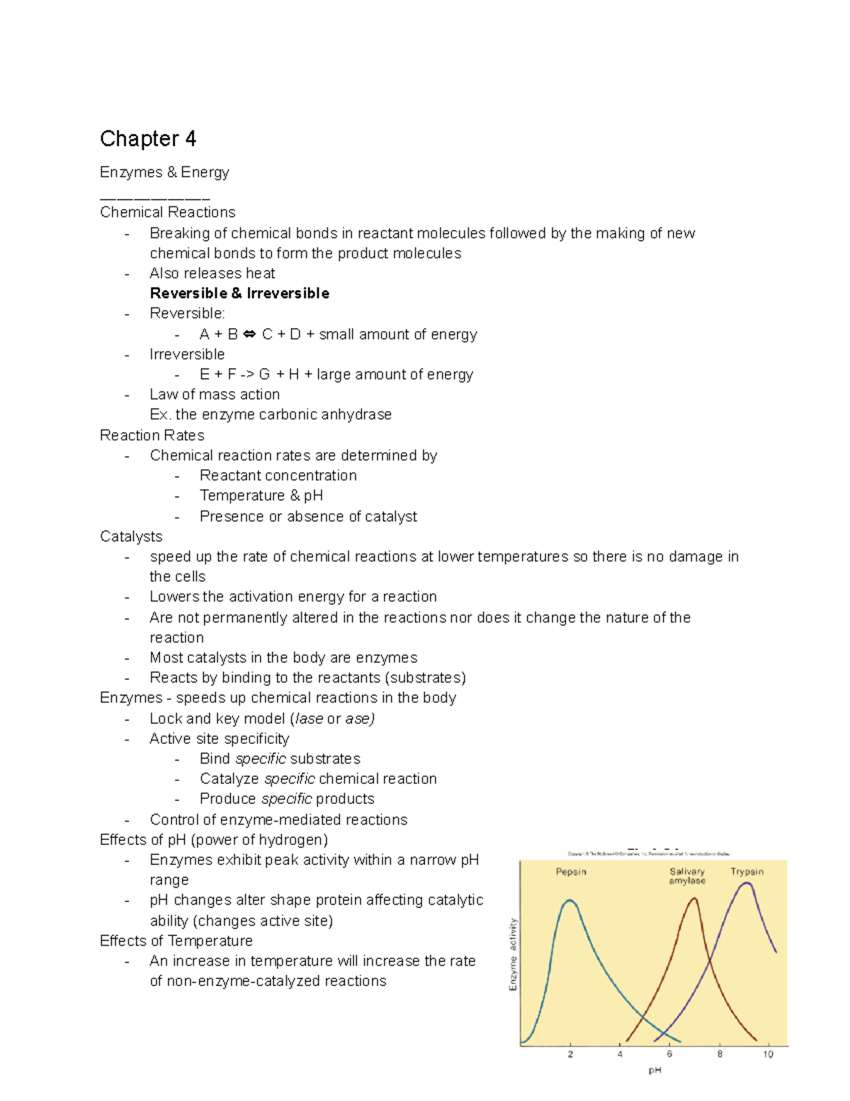 Chapters 4-6 - Chapter 4 Enzymes & Energy Chemical Reactions - Breaking ...