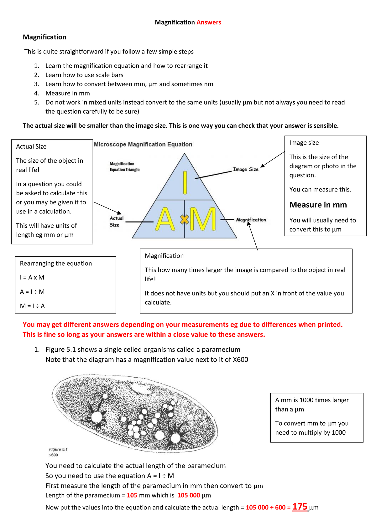 Lens Mirror Equation And Magnification Worksheet Answers