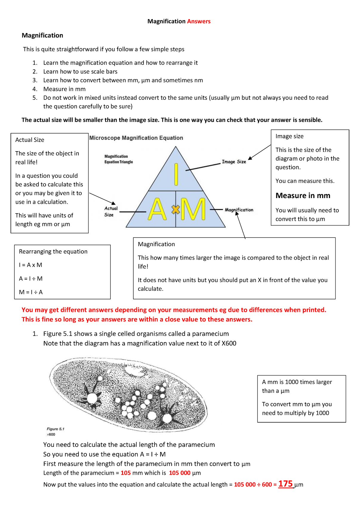 Answers Magnification Magnification Answers Magnification This Is 