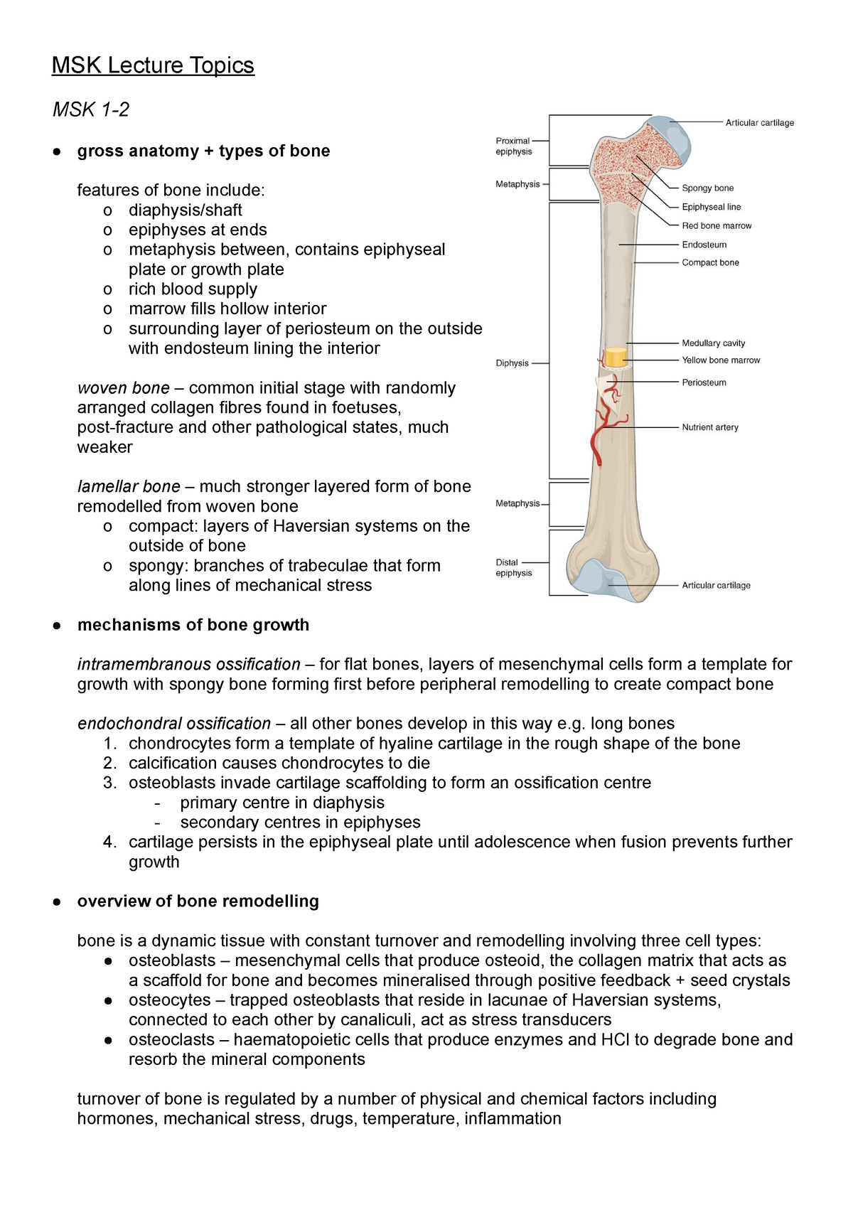 MSK-Lecture-Topics - Summary notes - MSK Lecture Topics MSK 1- gross ...