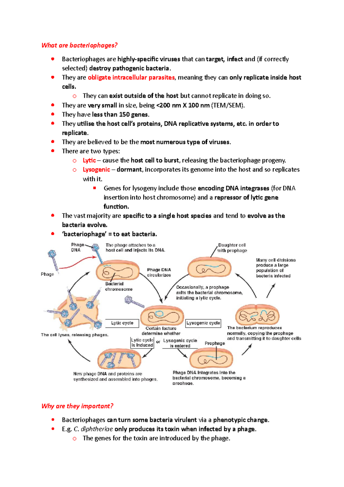 microbiology-lecture-6-obligate-intracellular-parasites-rickettsia