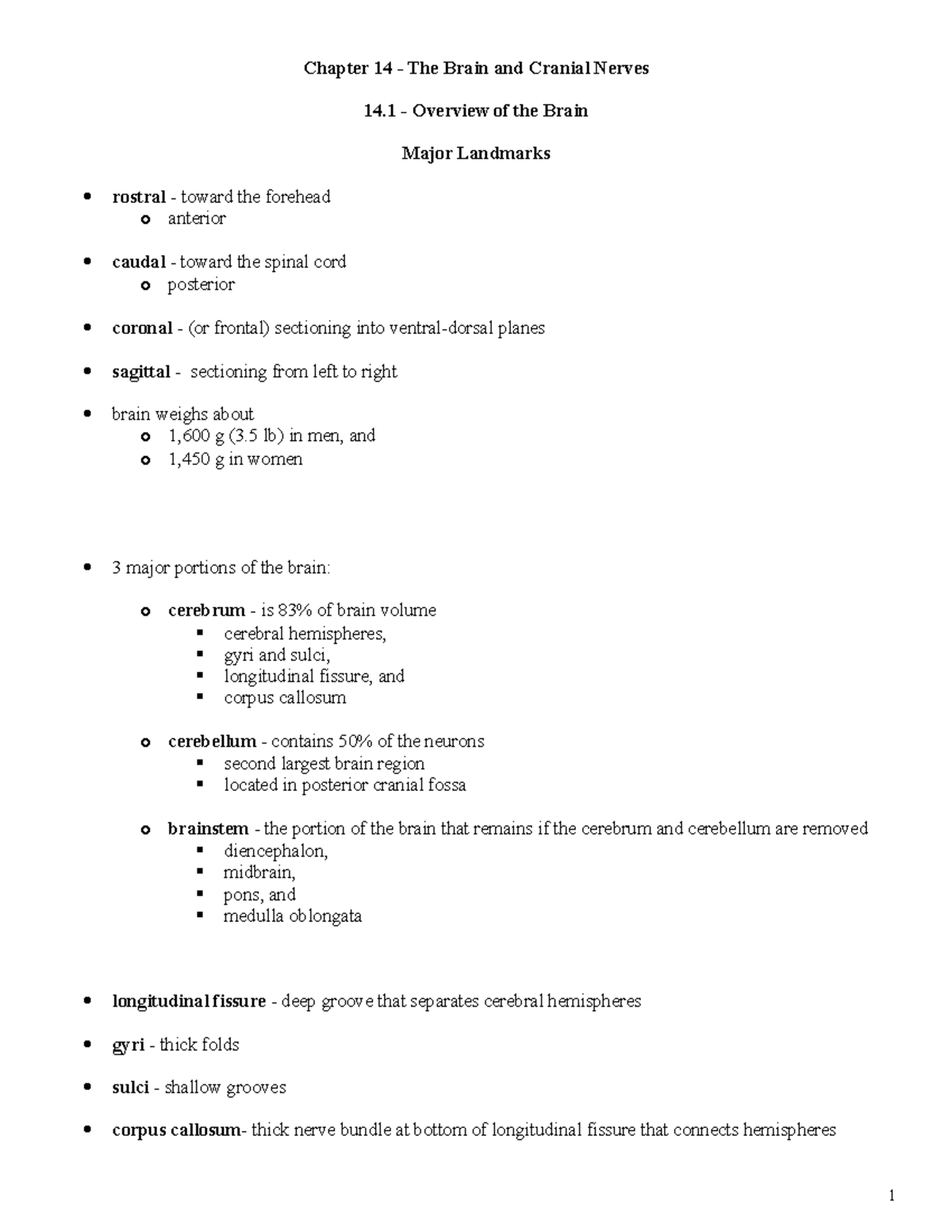 chapter-14-the-brain-and-cranial-nerves-neurons-have-a-high-demand