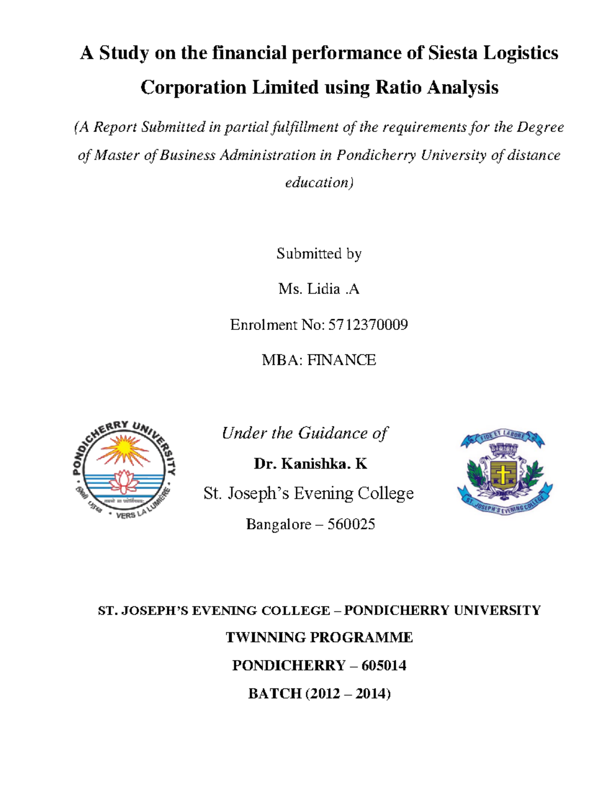 thesis on project finance