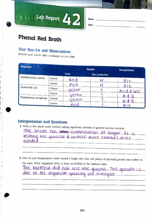 Pre-Lab #1-Microscopy - Lab 1 Assignment | Microscopy Short Answer ...