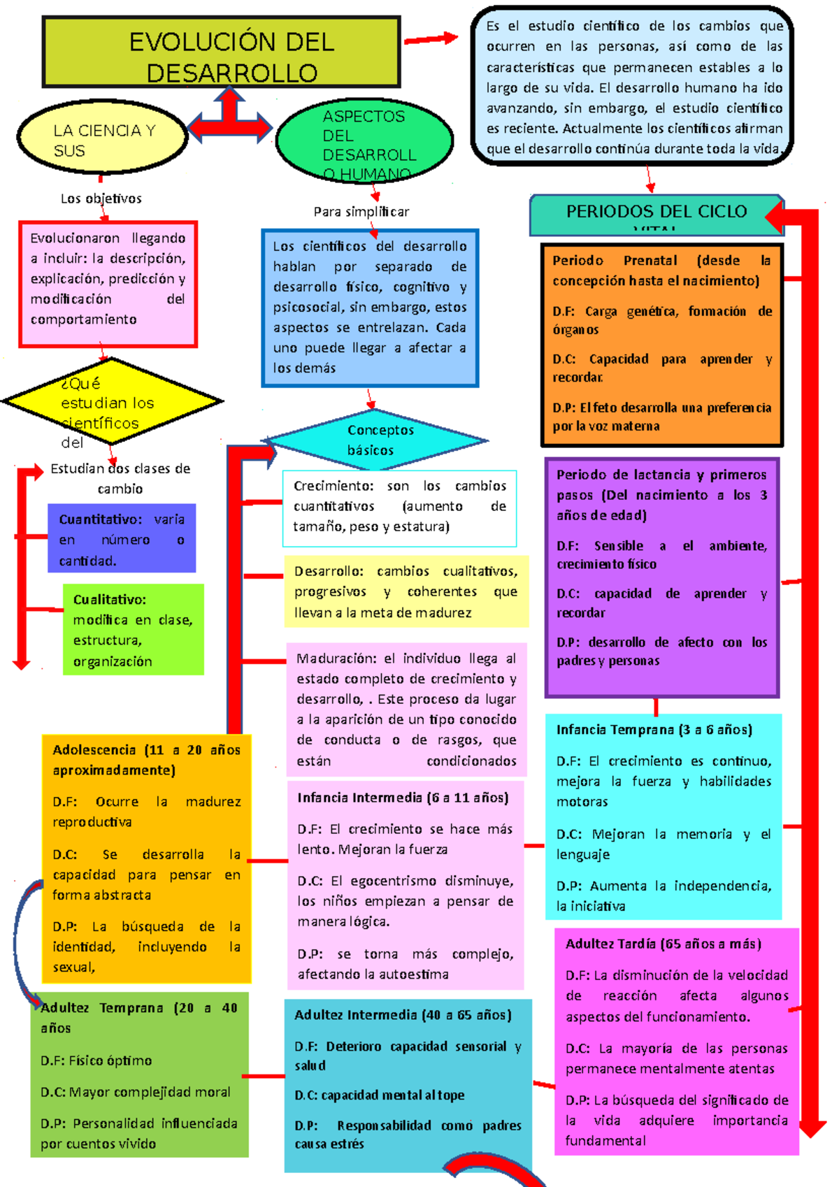 Esquema Visual Organizador Visual Mapa - Evolucionaron Llegando A 