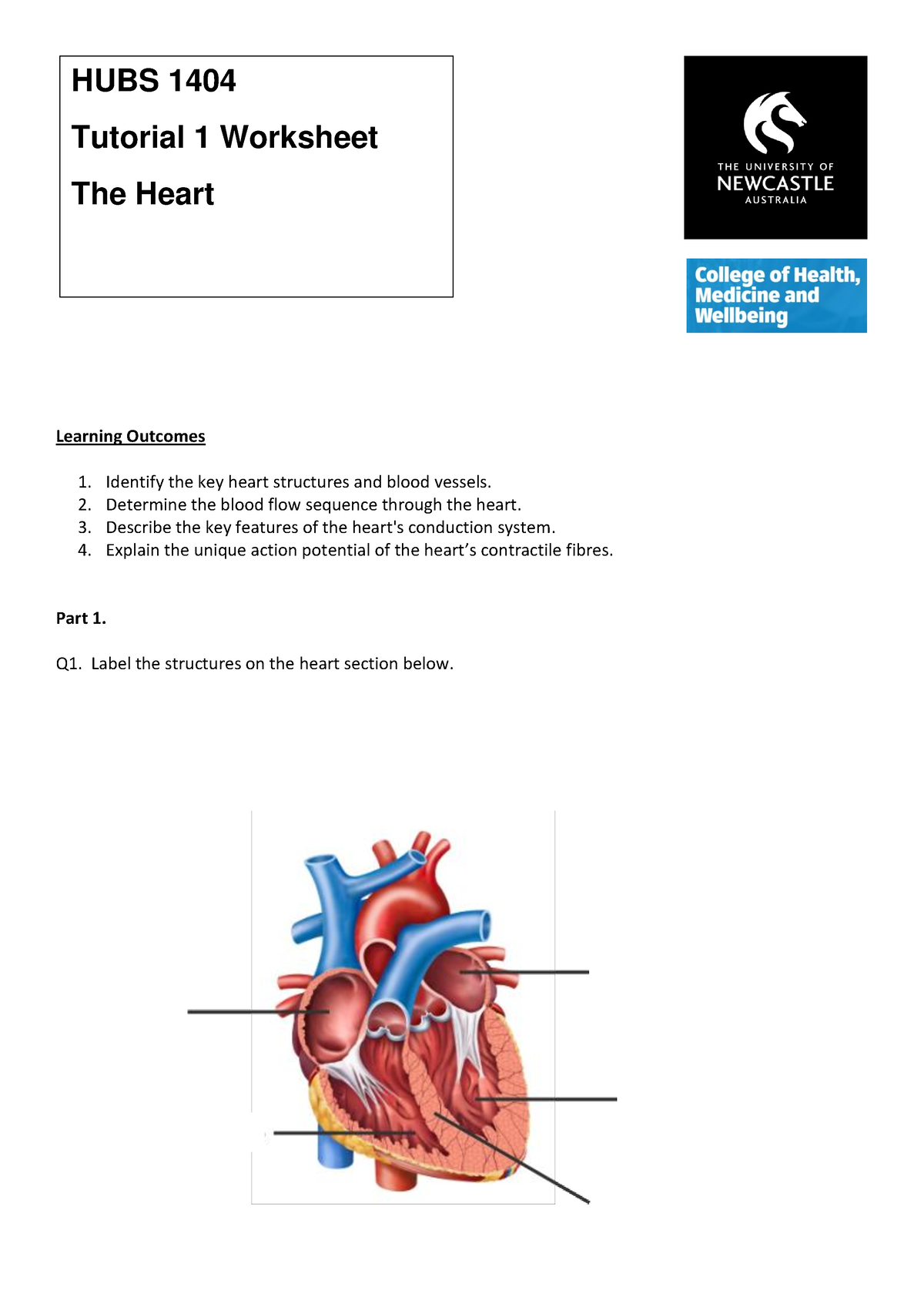 a tiny heart case study answer key biology corner