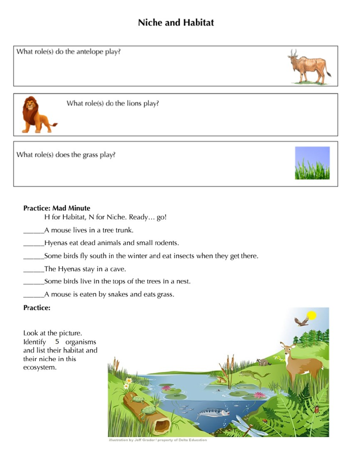 habitat vs niche assignment answer key