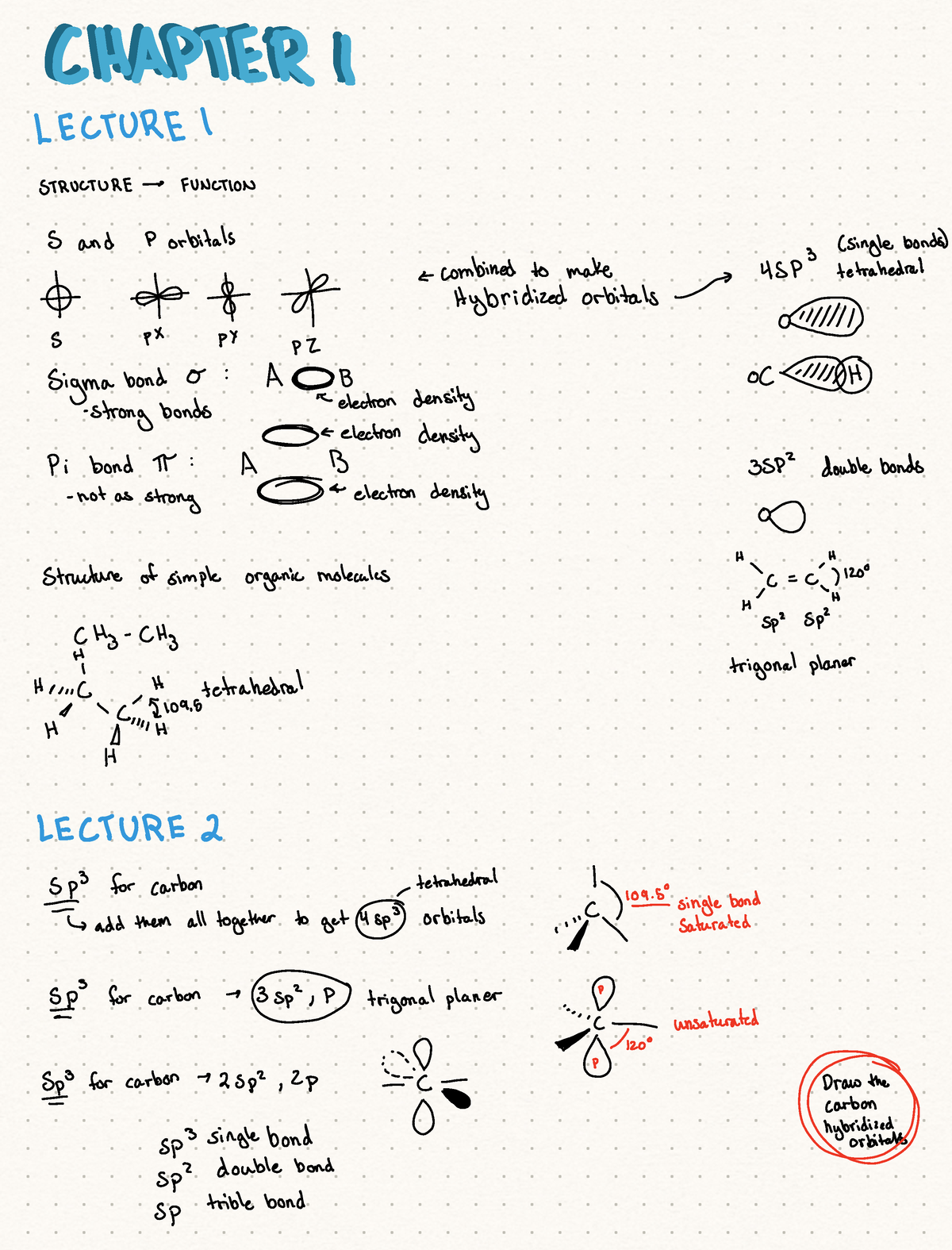 Chapter 1 Lecture Notes - CHAPTER A LECTURE I STRUCTURE FUNCTION S And ...