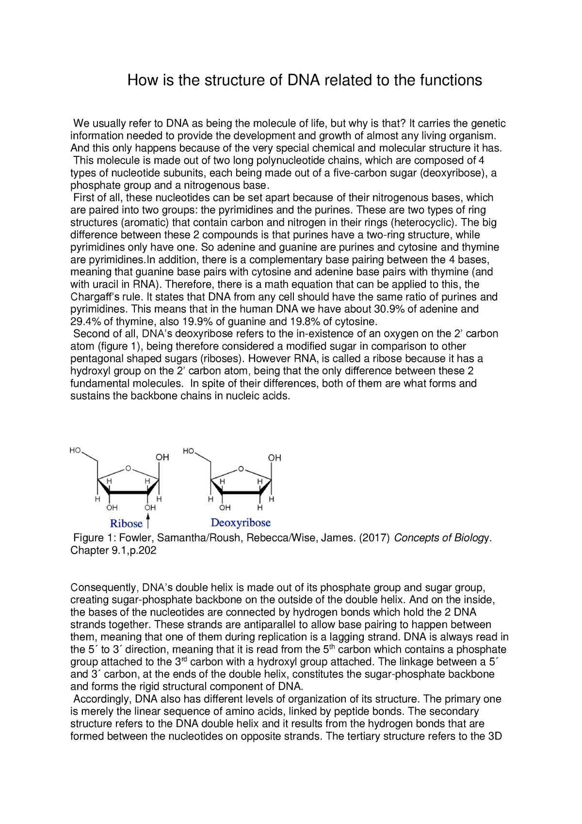 essay dna