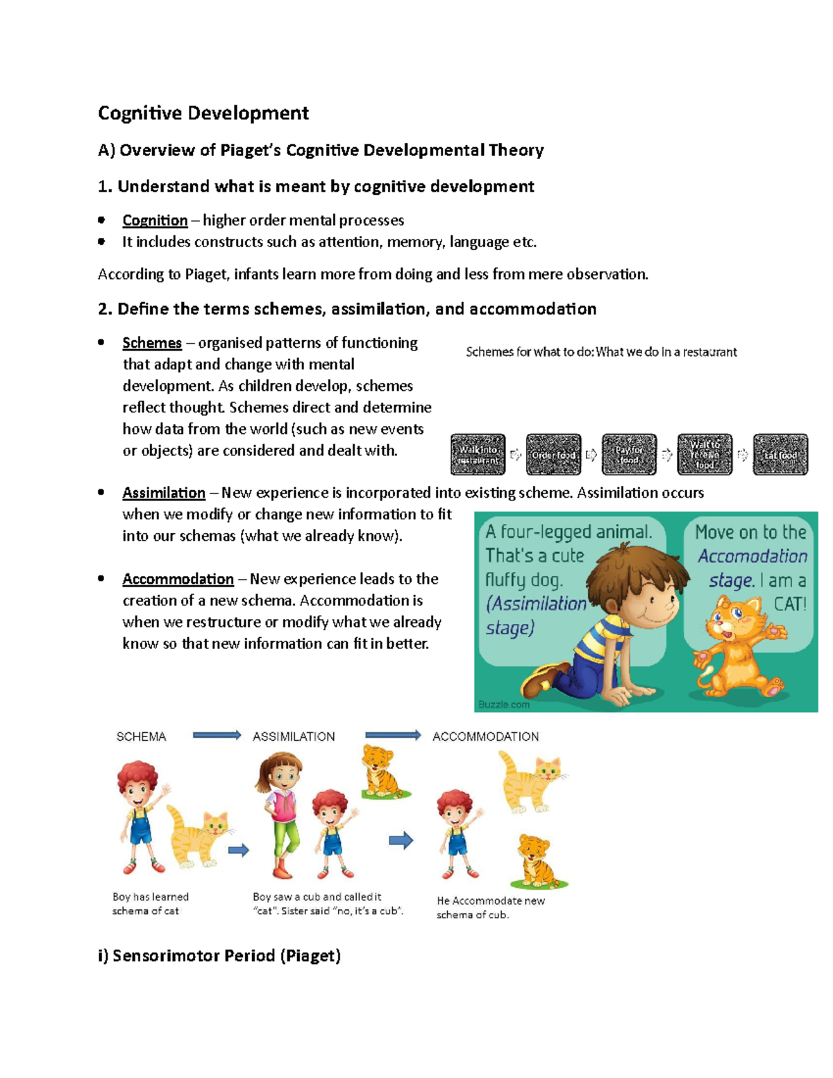 HPS202 Week 4 Notes - Cognitive Development A) Overview of Piaget’s ...
