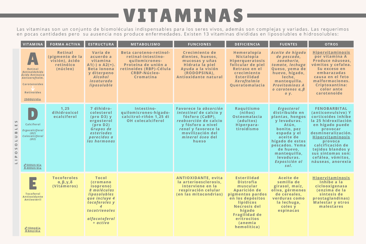 Cuadro Comparativo De Vitaminas Vitaminas L A S V I T A M I N A S S O