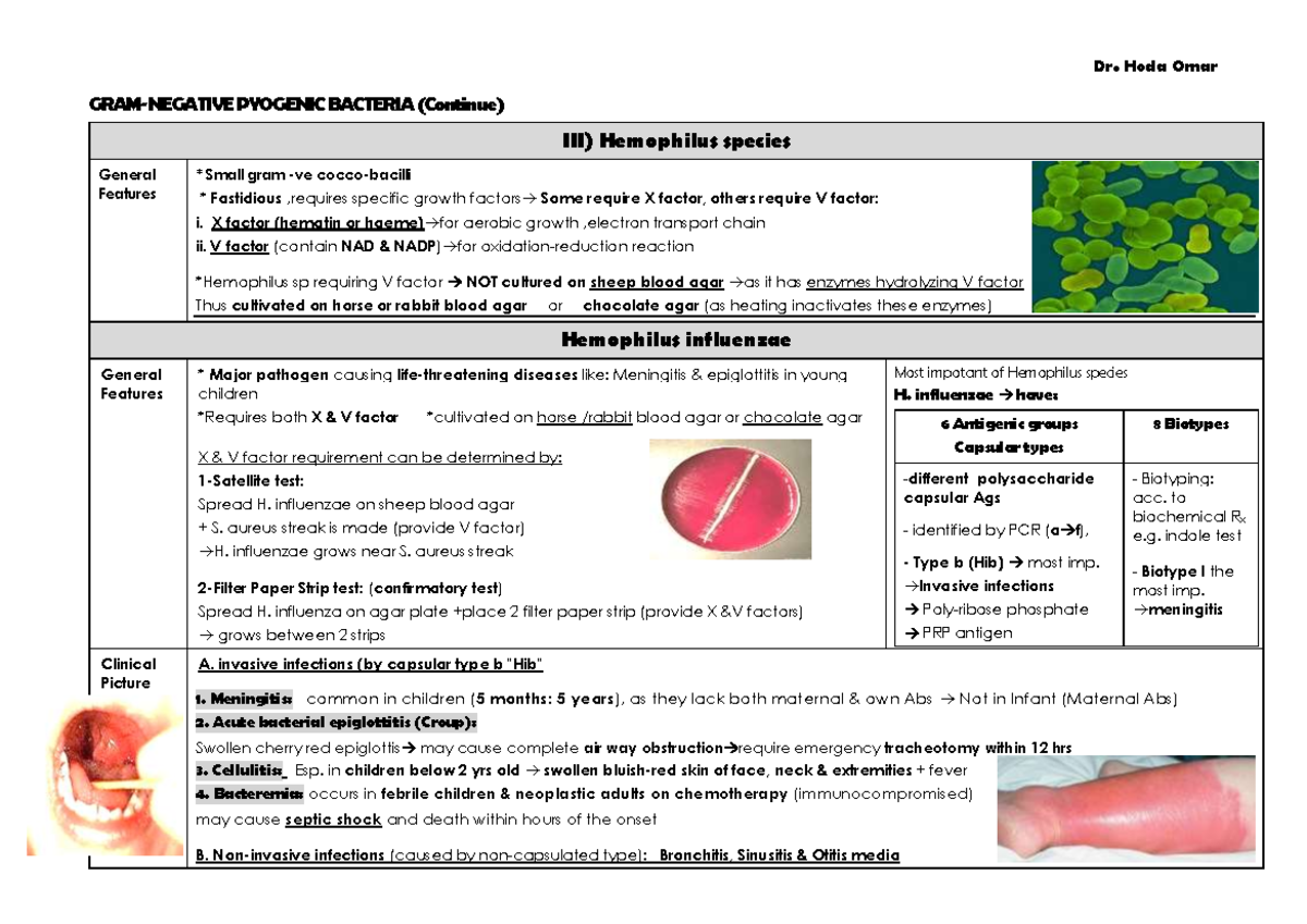 Gram -ve Lecture 2 (Hemophilus + Bordetella) - GRAM-NEGATIVE PYOGENIC ...