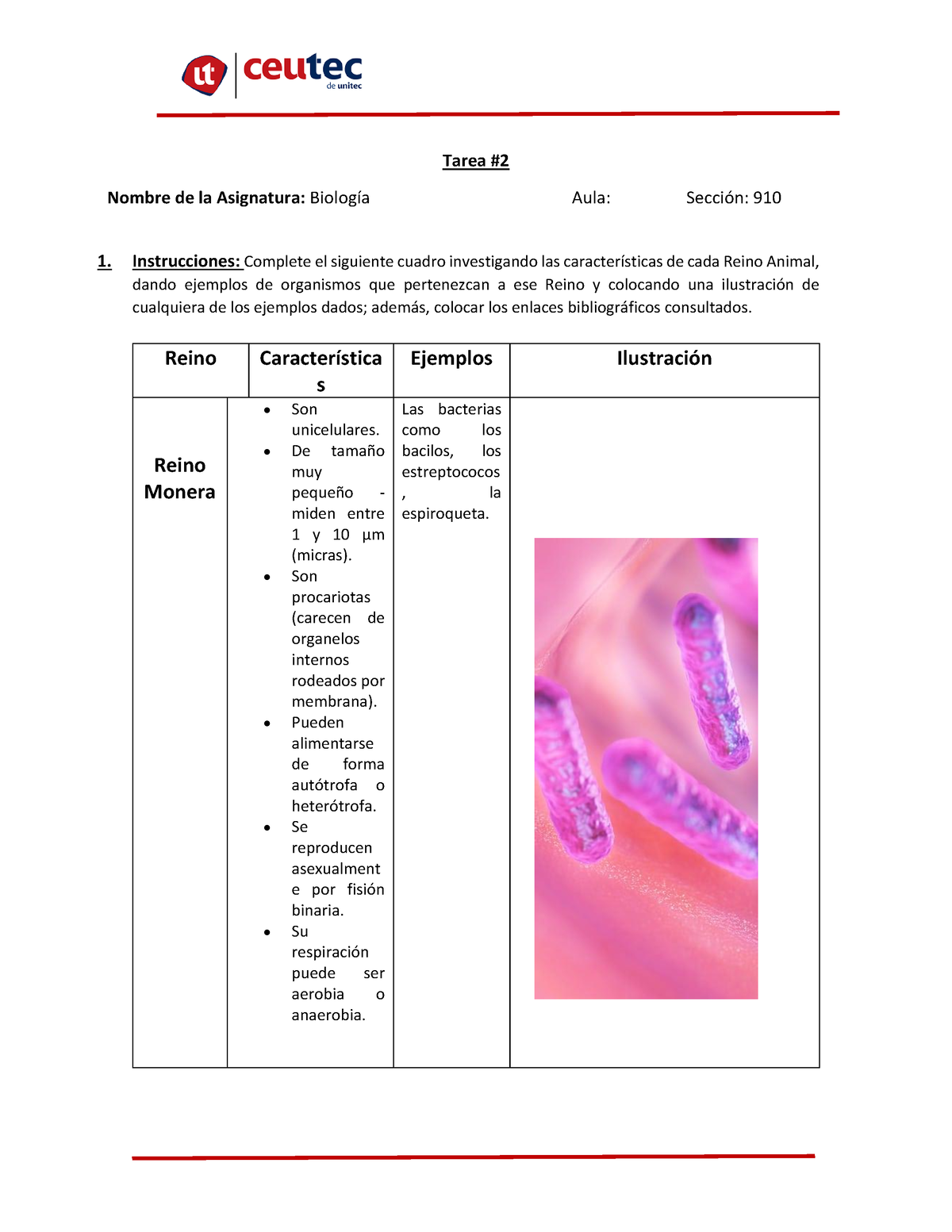 Tarea 2 Reinos Olga Lagos Tarea Nombre De La Asignatura Biología