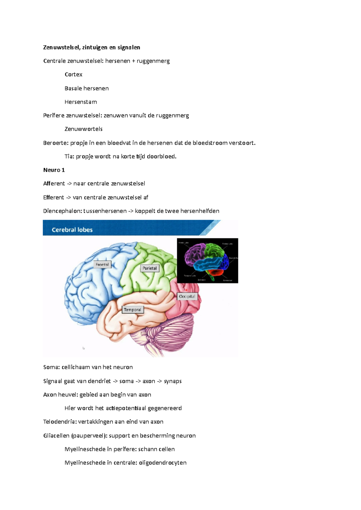 Zenuwstelsel, Zintuigen, Signaal - KT1 - Zenuwstelsel, Zintuigen En ...
