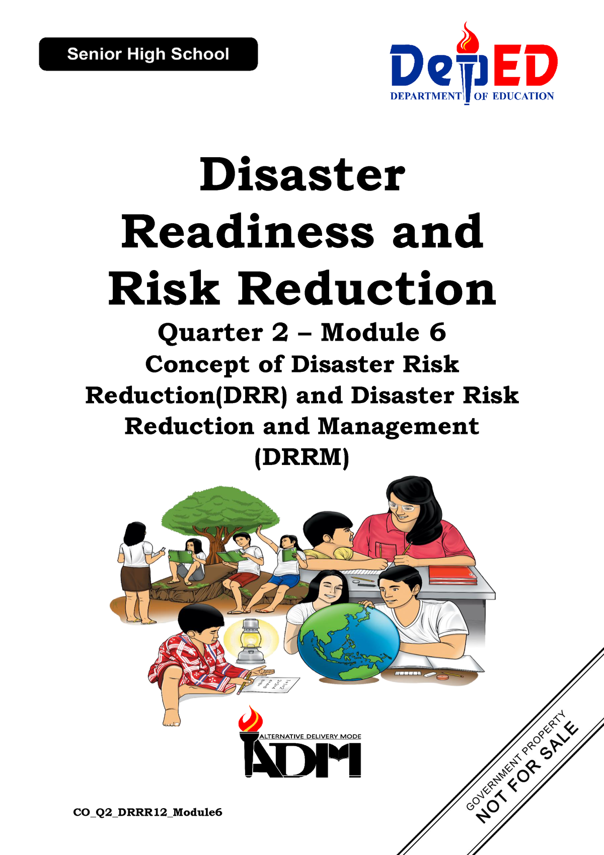 how to reduce disaster risk essay