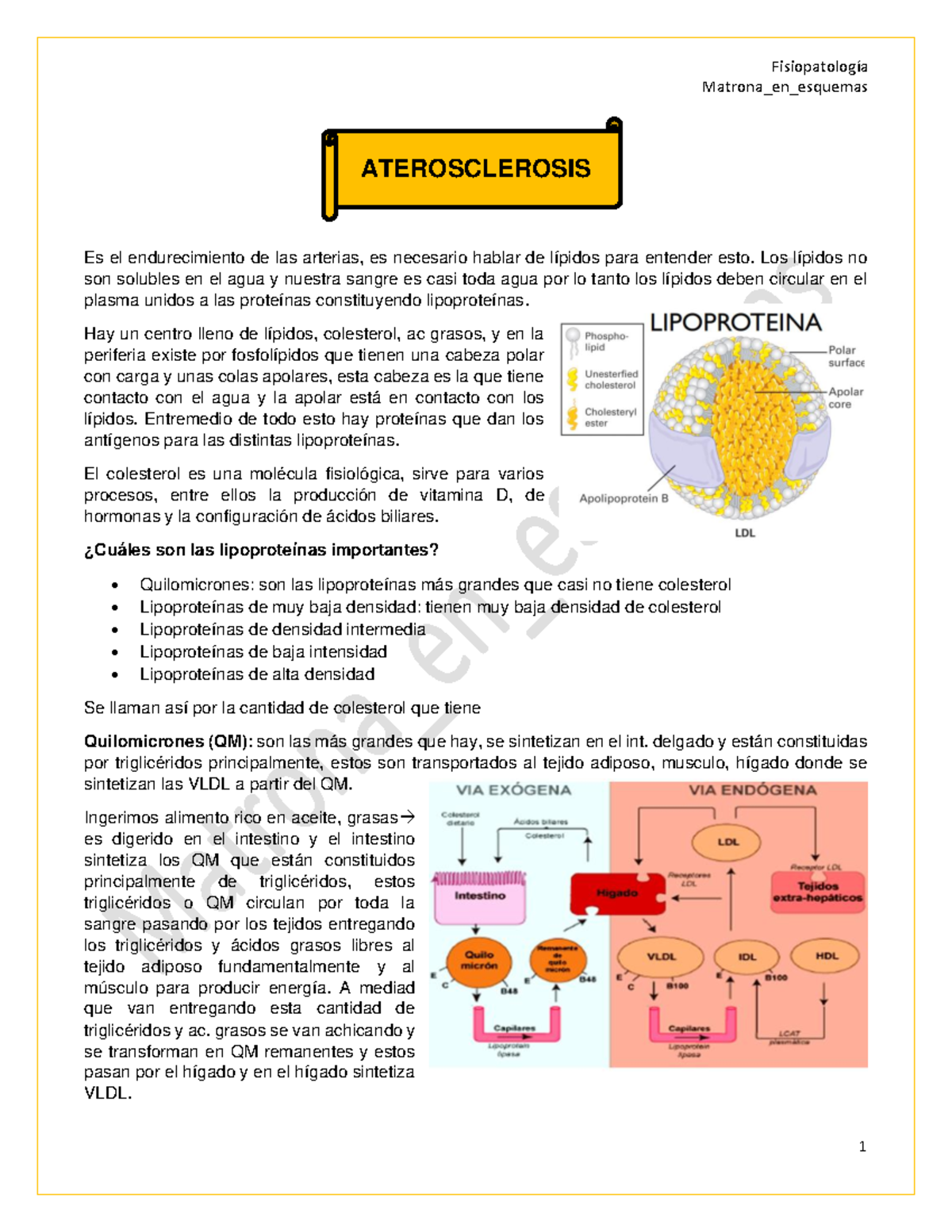 Fisiopatologia Aterosclerosis Y Cardiopatia Isquemica - Matrona_en ...