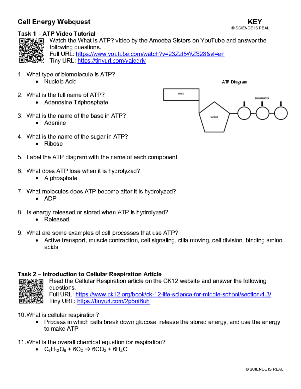 key-for-cell-energy-webquest-cell-energy-webquest-key-science-is