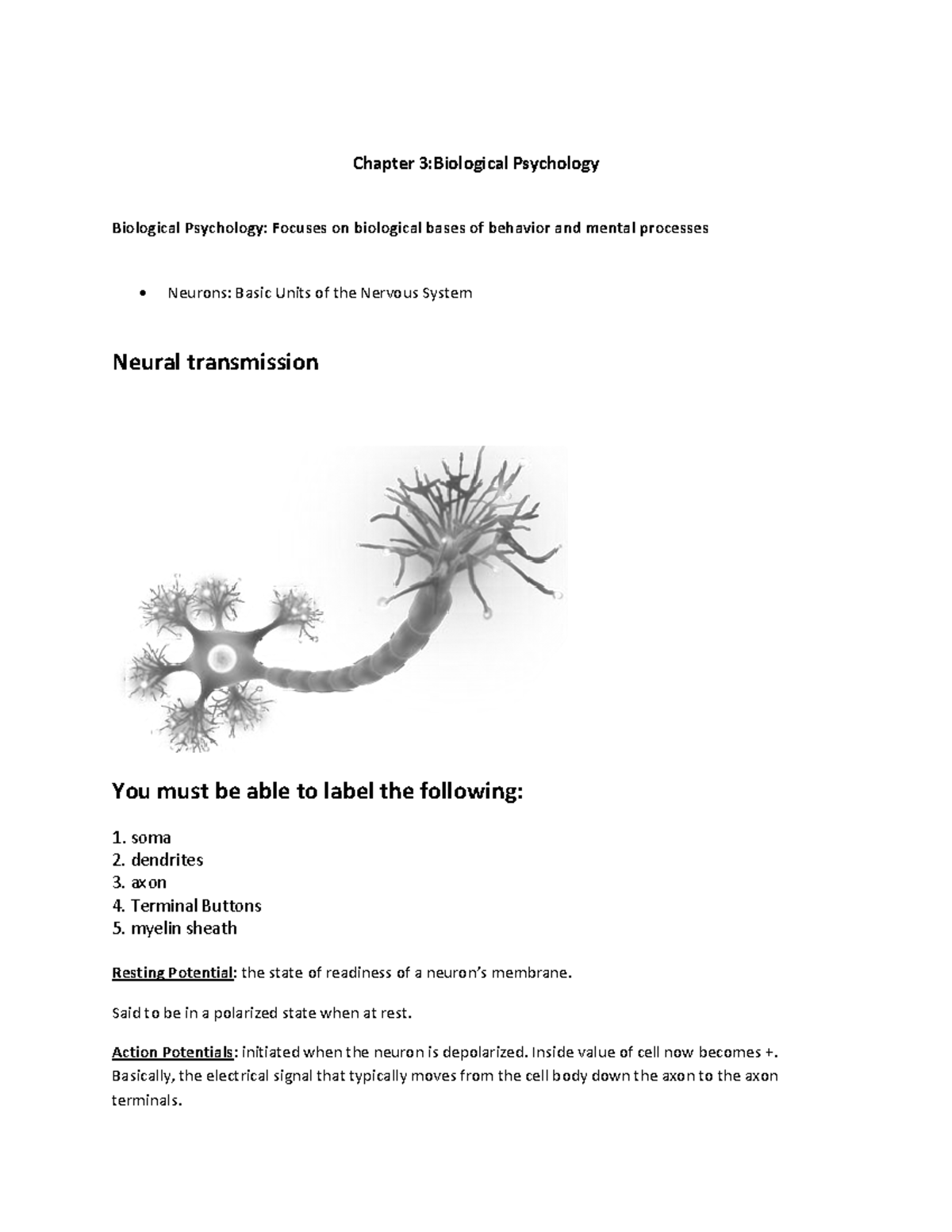 Lecture 3 Notes - Ch. 3 - Chapter 3:Biological Psychology Biological ...