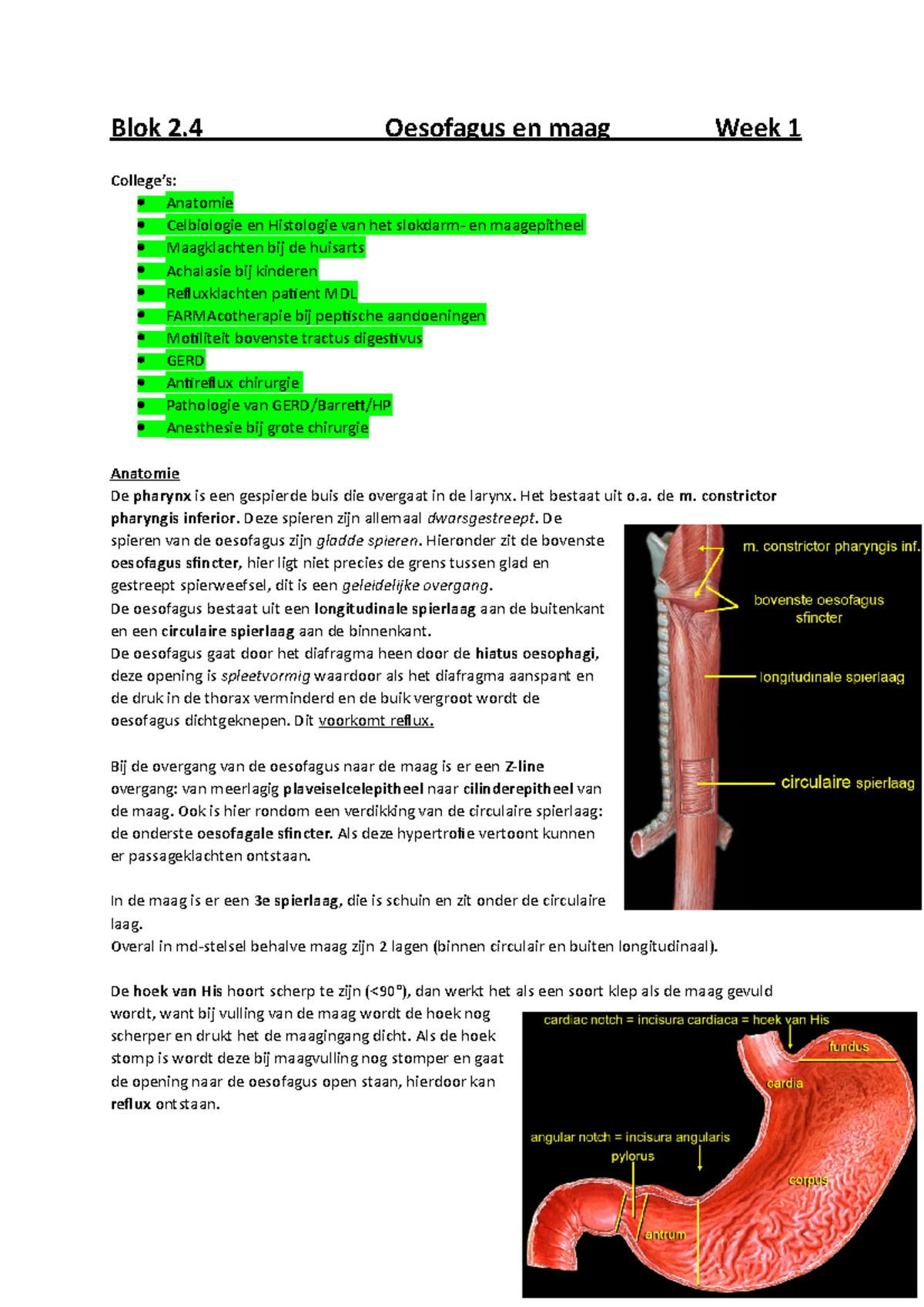 Week 1 Colleges Oesofagus En Maag - Blok 2 Oesofagus En Maag Week 1 ...