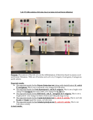 Micro lab 1 - LAB ASSIGNMENT - Lab #1 ( Environmental Conditions ...