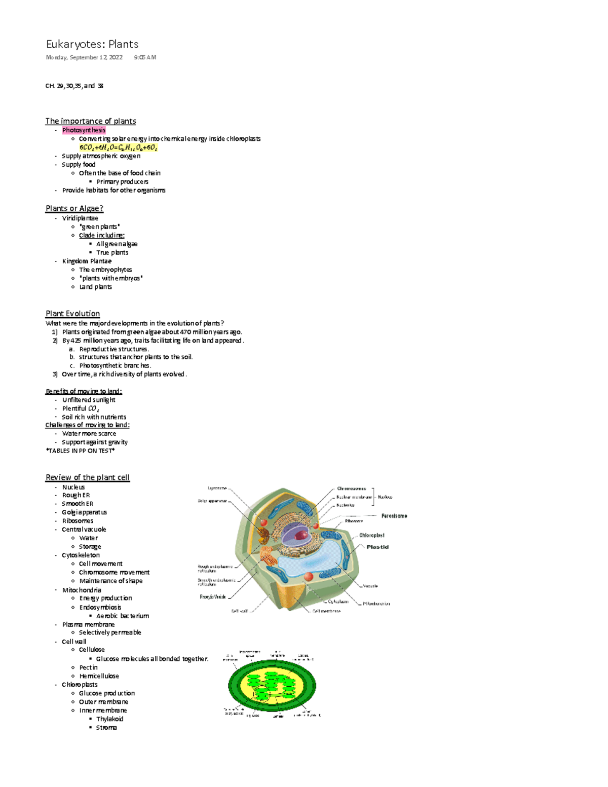 Eukaryotes - Plants - CH. 29,30,35, and 38 The importance of plants ...