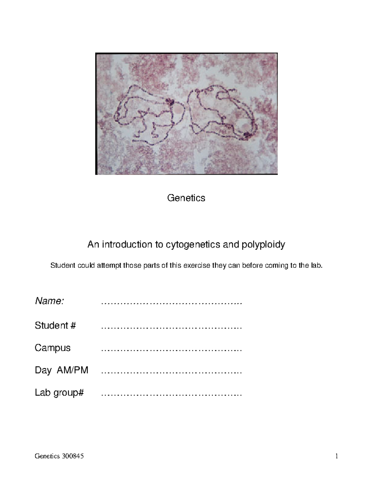 Lab 2.1 Cytogenetics Lab - Genetics An introduction to cytogenetics and ...
