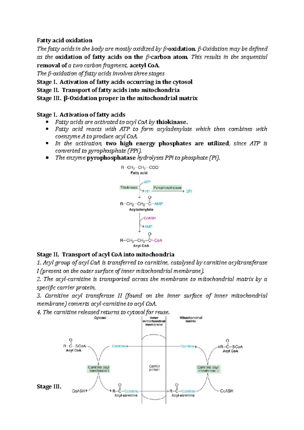 Beta oxidation of fatty acids Fatty acid oxidation The fatty acids in