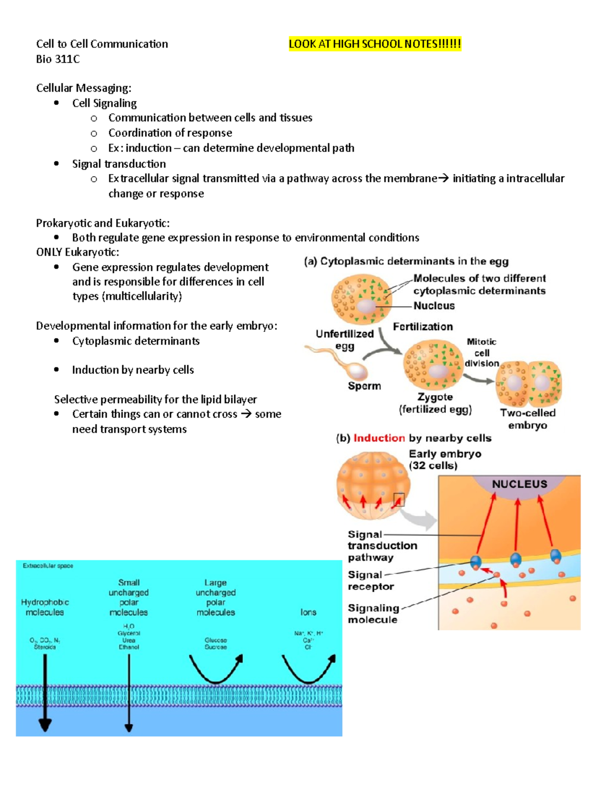 Cell to Cell Communication - Reception signaling molecule binds cell ...