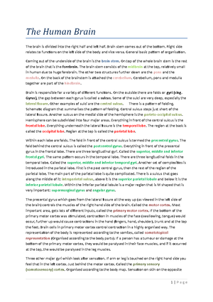 2023 Medsci 142 Lab 03 Musculoskeletal - 25 TORY 3 LABORA Introduction ...