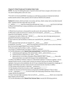 Chapter 19 Study Guide - Chapter 19: Blood Study Guide **DO NOT GOOGLE ...