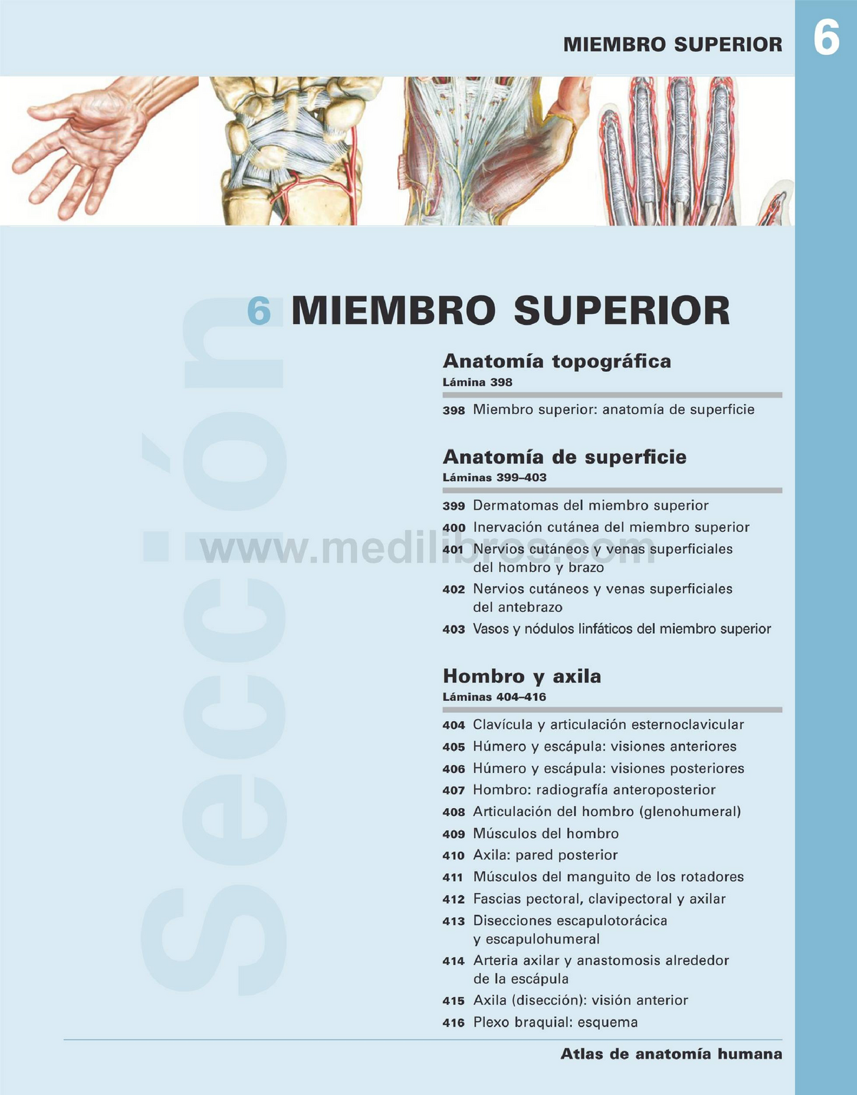 Atlas N 6 1 449 524 Anatomia Musculos Y Huesos Studocu