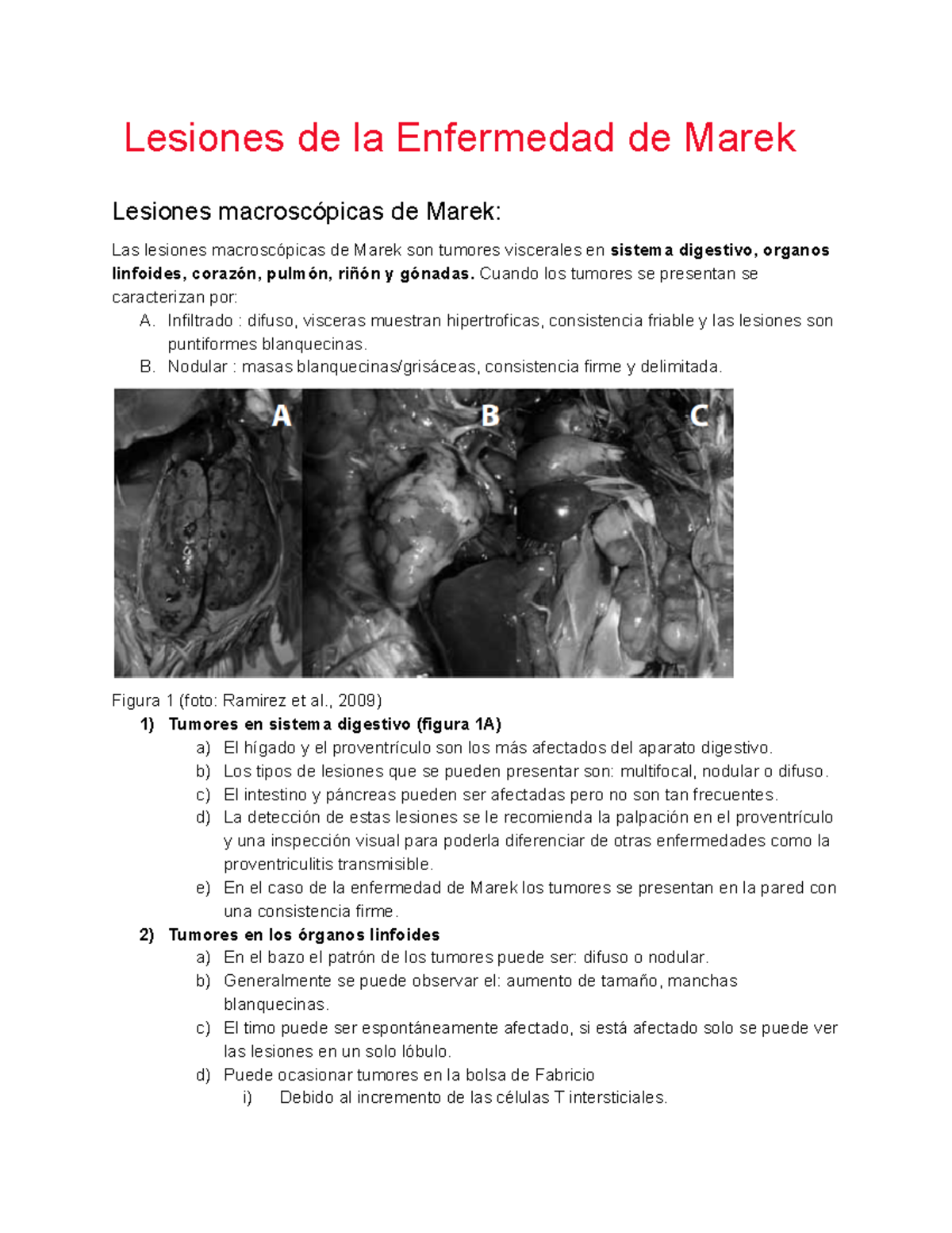 Lesiones de la Enfermedad de Marek - Lesiones de la Enfermedad de Marek