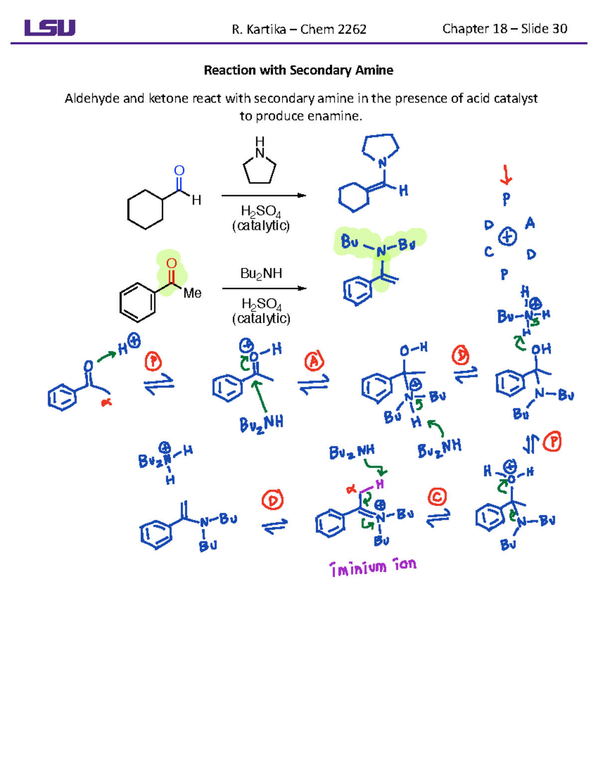 Lecture 24 Reaction With Secondary Amine Aldehyde And Ketone React