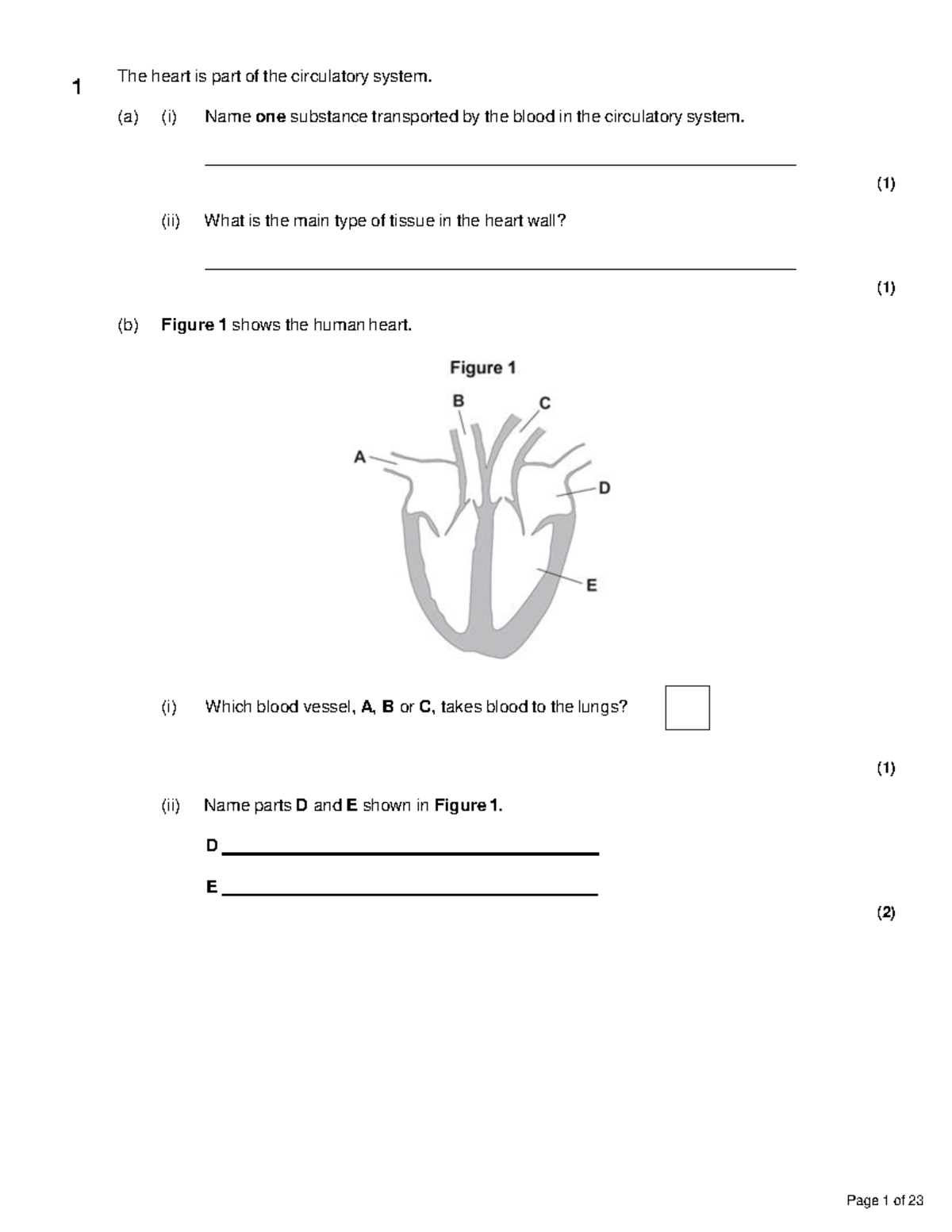 Set 1 Organisation Grades 1 3 - The heart is part of the circulatory ...