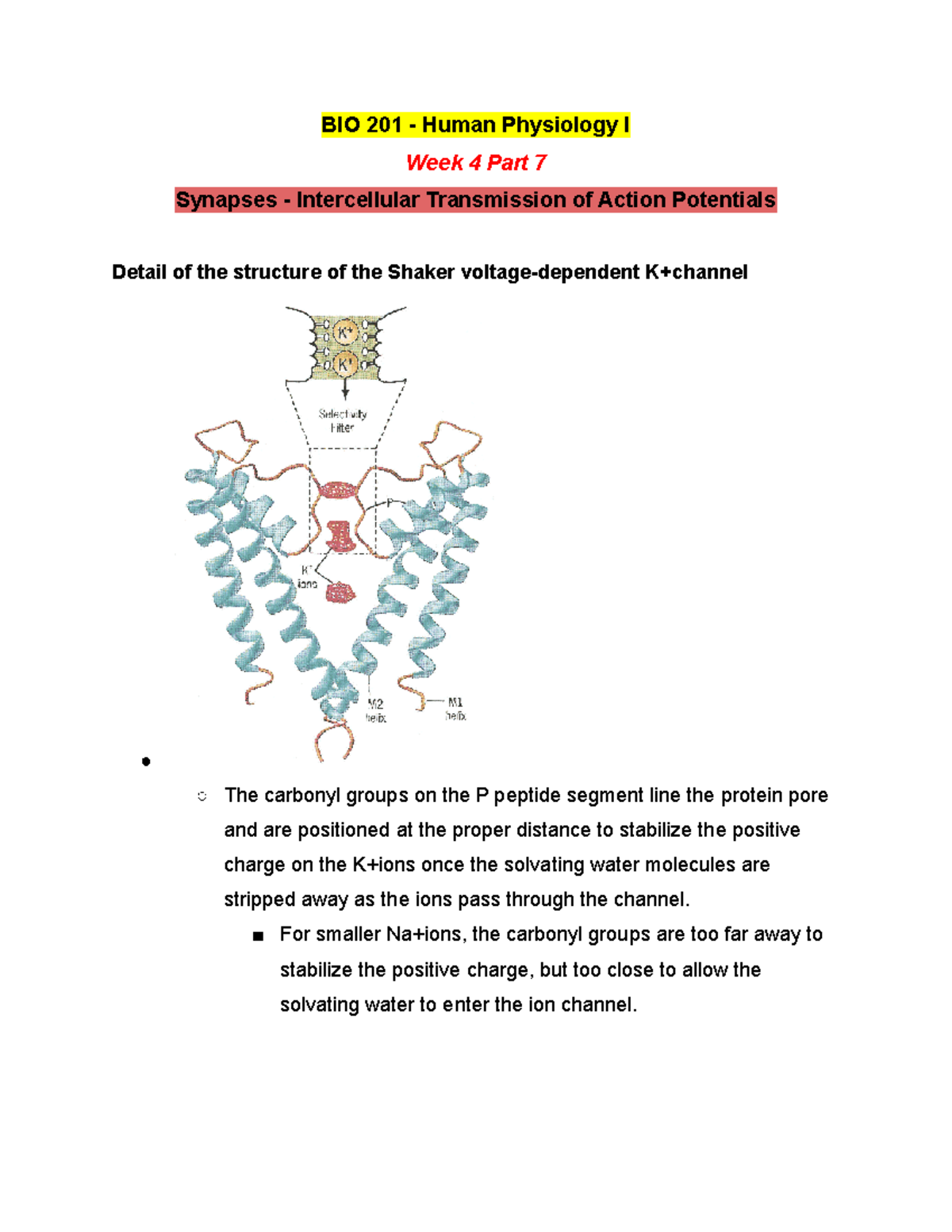 BIO 201 Lecture Notes Week 4 Part 7 - Winter 2019 - BIO 201 - Human ...