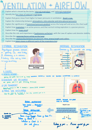 Respiratory Checklist - Respiratory Checklist Structure Identified 