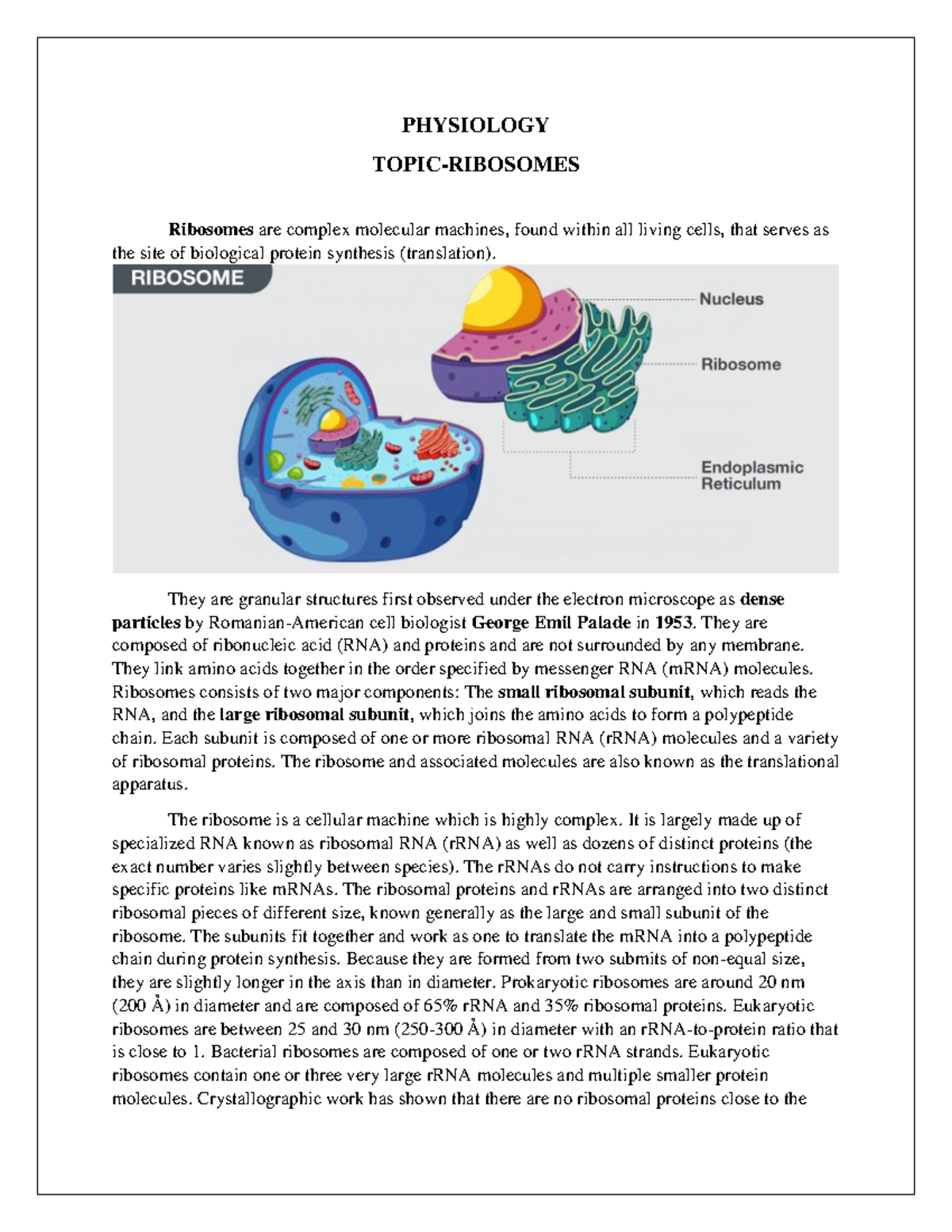 ribosomes assignment pdf bsc 1st year