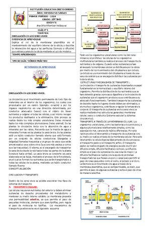 Guia De Aprendizaje Poscosecha Guia De Aprendizaje Manejo Poscosecha Actividad De Studocu