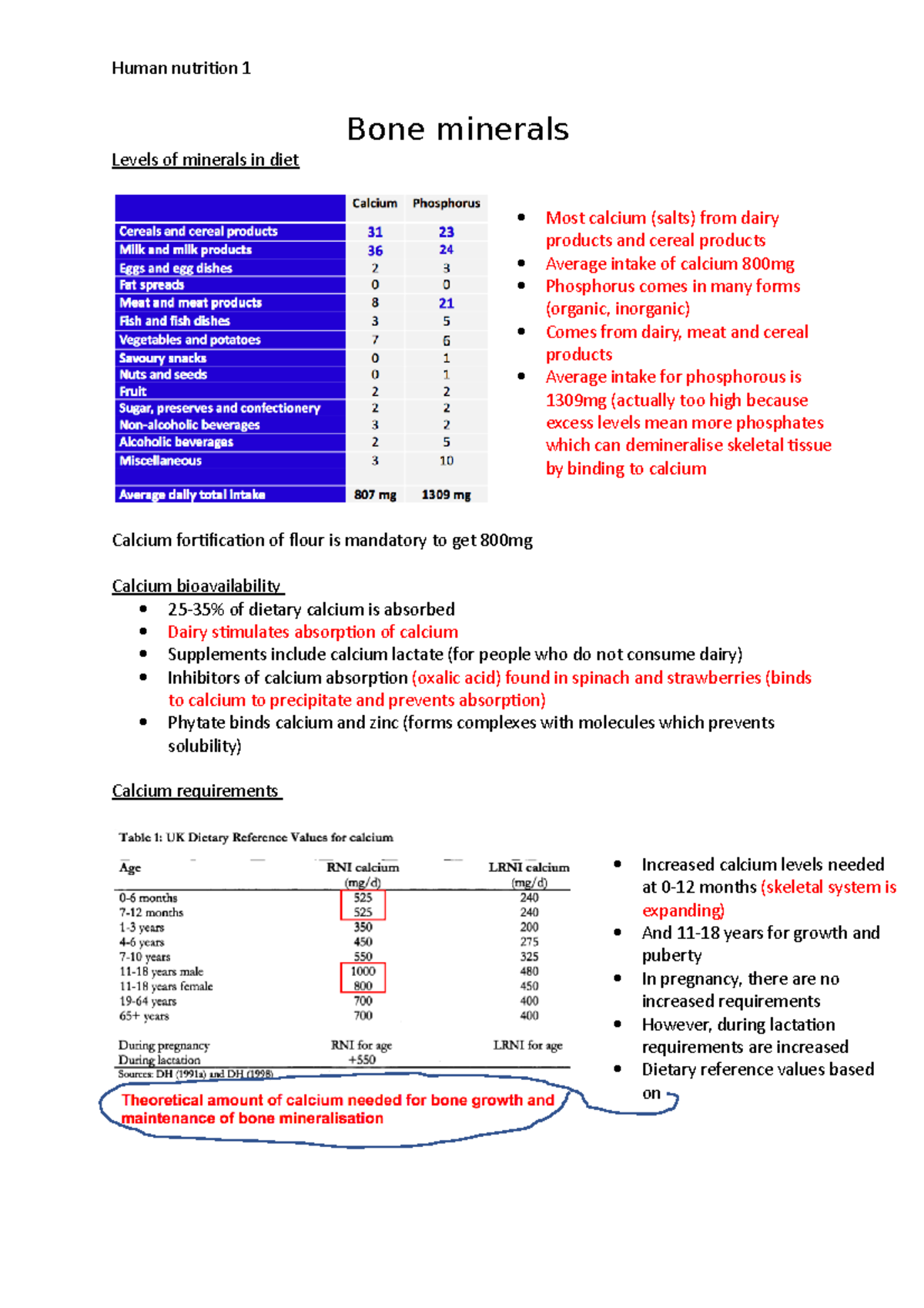 Human Nutrition 1Bone minerals Bone minerals Levels of minerals in