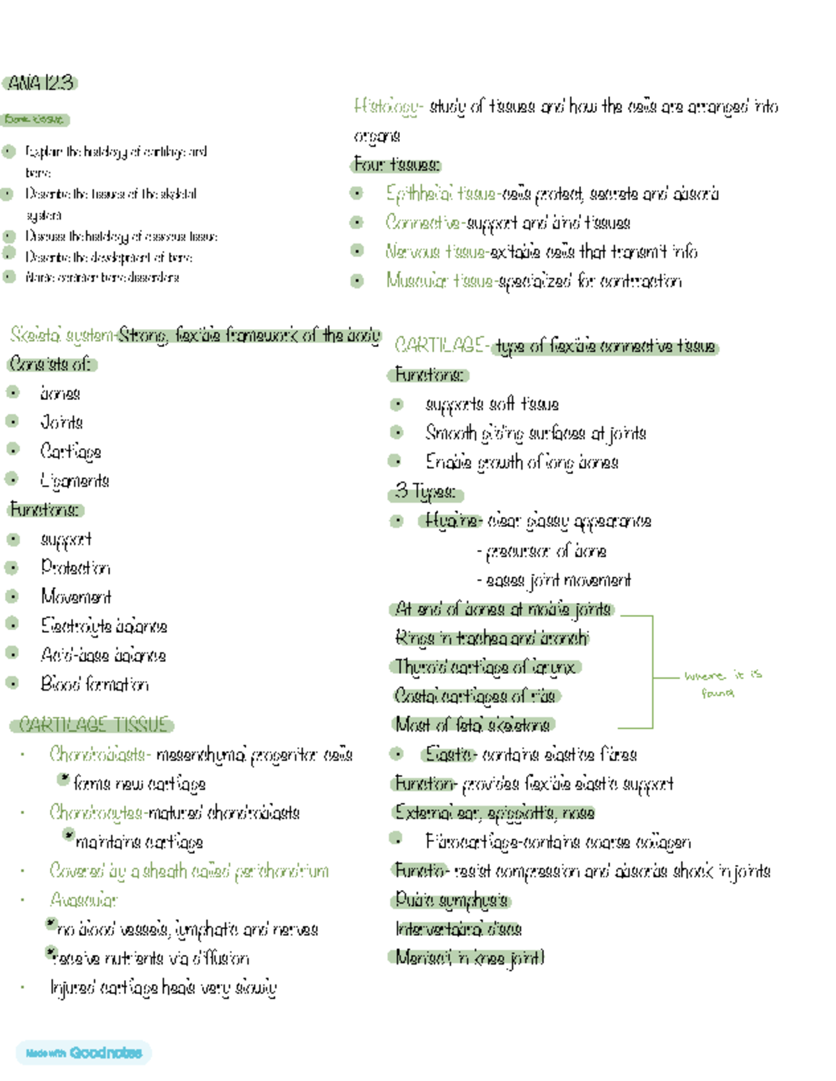Anatomy Study Bone Tissue Class Notes Ana 123 Explain The Histology