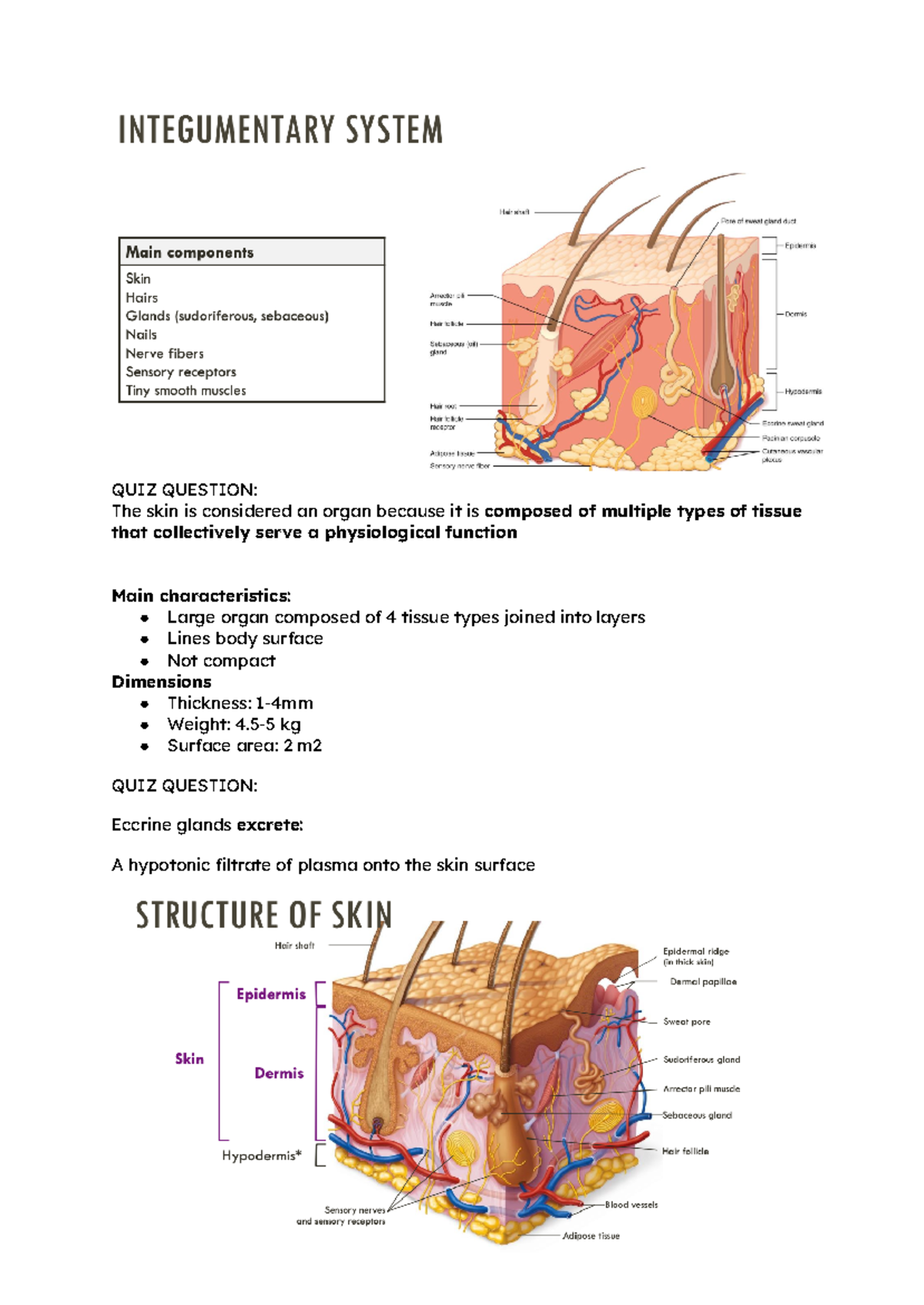 Integumentary System - QUIZ QUESTION: The skin is considered an organ ...