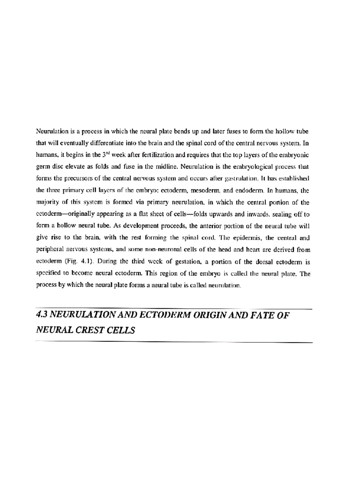 Neurulation AND Ectoderm Origin AND FATE OF Neural Crest CELL MSc