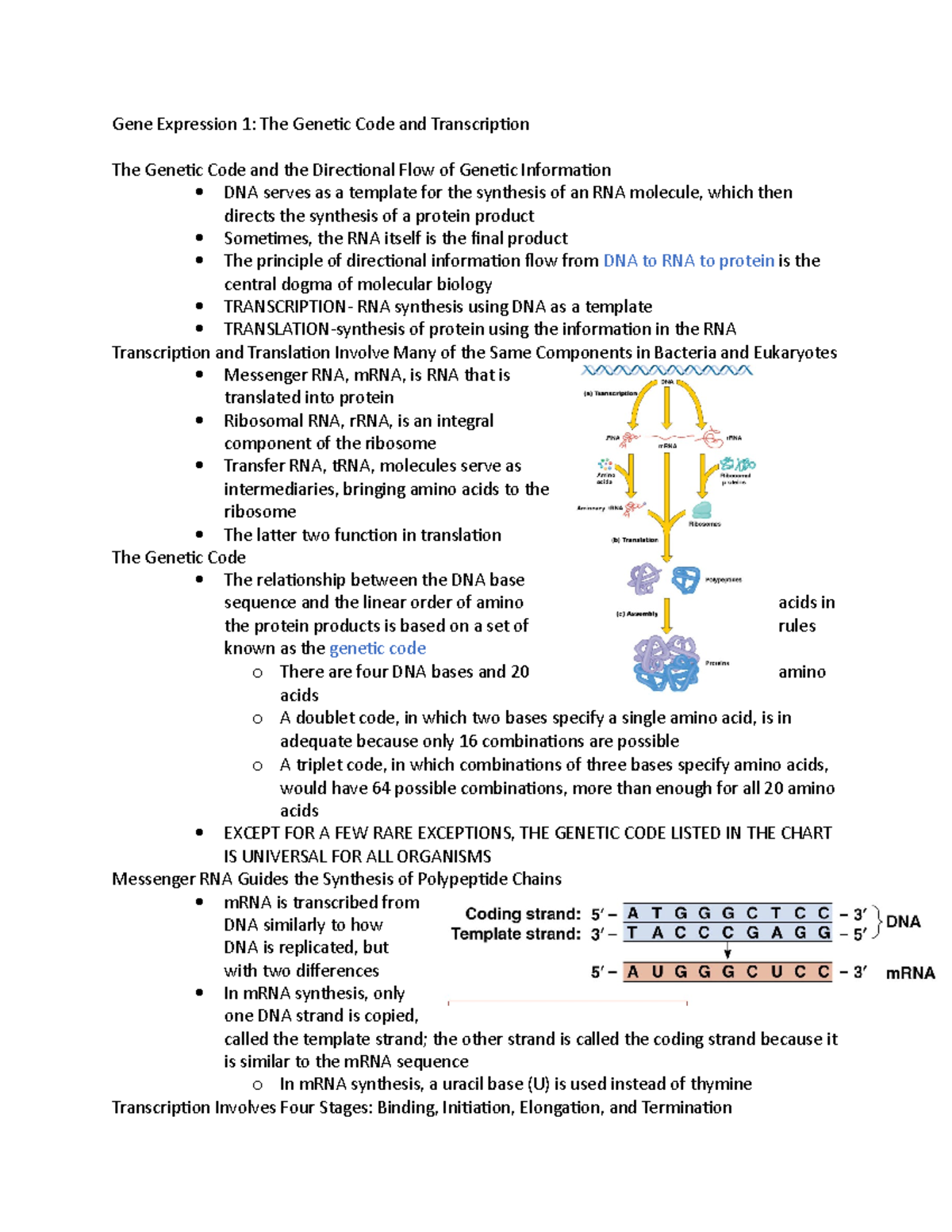 Gene Expression 1 - Studocu