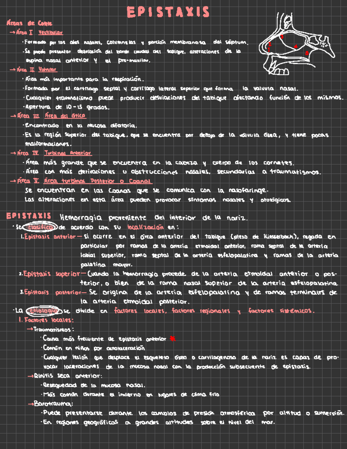 Epistaxis - EPISTAXIS Areas de Cottle S S >Área I vestibular L 2 Yo 3 I ...