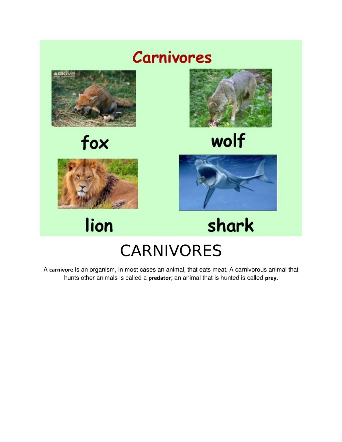 Animals - types or breed - CARNIVORES A carnivore is an organism, in