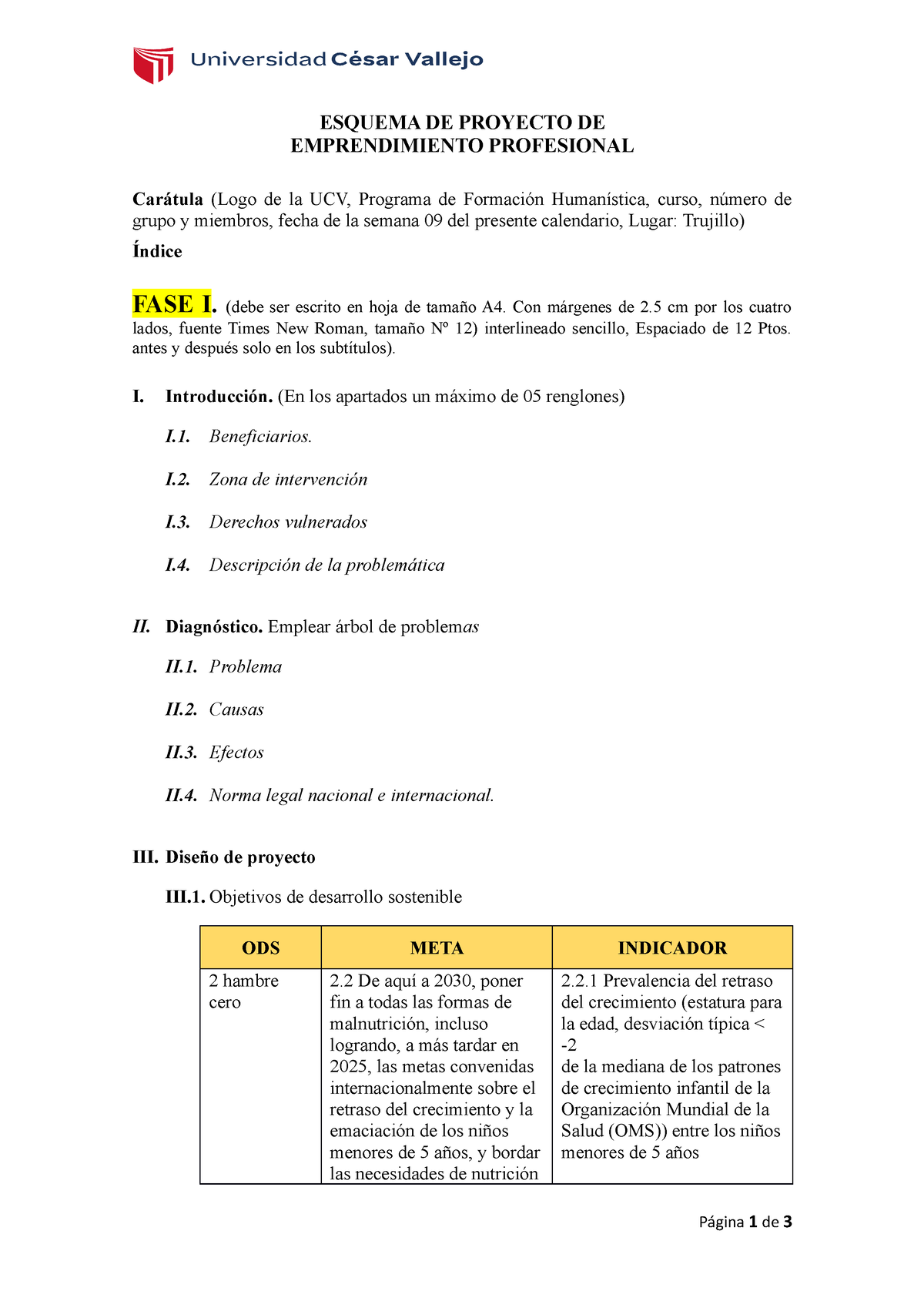 Esquema De Proyecto De Emprendimiento Esquema De Proyecto De Emprendimiento Profesional