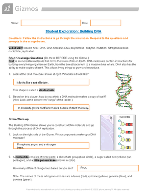 DNA Structure & Replication GN - genetic material nucleic acid ...